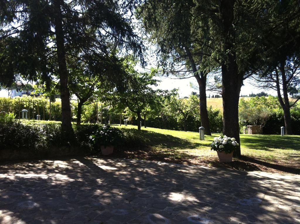 Villa Nunzia Cupramontana Exteriér fotografie