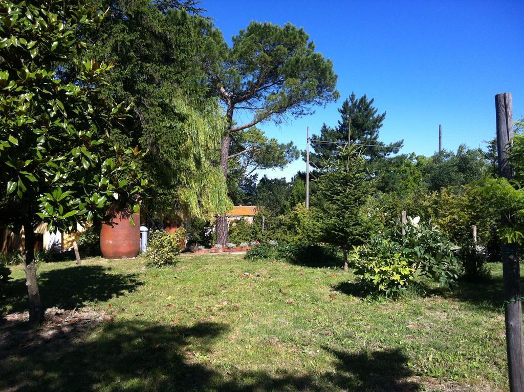Villa Nunzia Cupramontana Exteriér fotografie